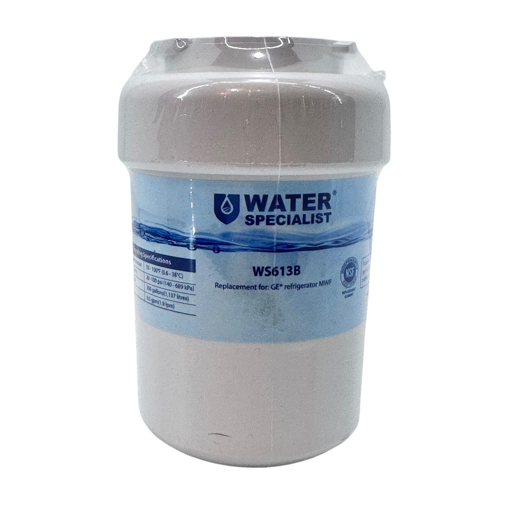 Water Specialist WS613B Refrigerator Water Filter Replacement‎ for GE MWF